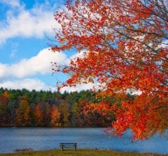 New England Autumn Scene